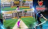Cricket Champs League screenshot 1