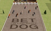 Dog Racing Simulator 3D screenshot 3