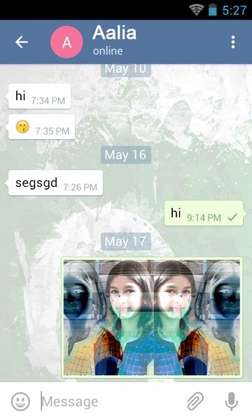 Pakistan Chat - Preview 4