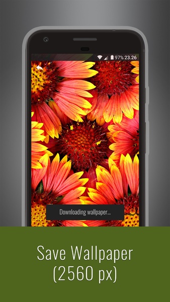 Flowers HD Wallpapers - Preview 13