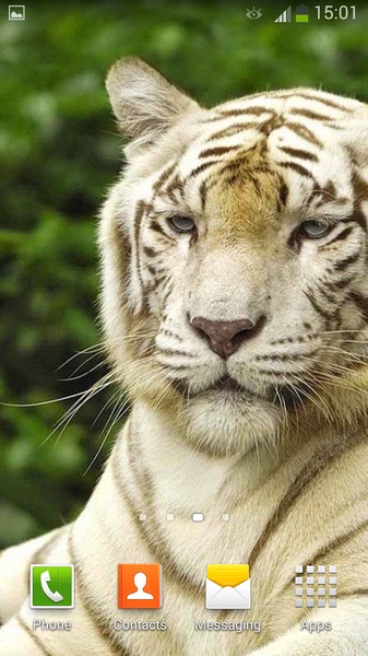 White Tiger Live Wallpaper - Preview 2