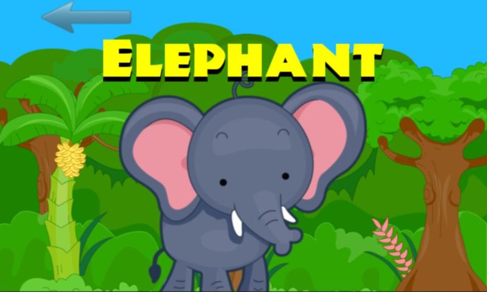Peekaboo Safari - Preview 4