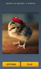 Cute Chicks Puzzle screenshot 3
