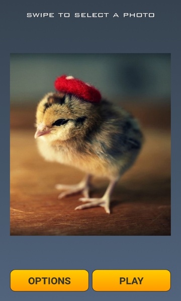 Cute Chicks Puzzle - Preview 3