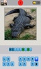 Animals Quiz screenshot 5