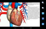 Visual Anatomy Free screenshot 16