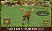 Wild Jungle Tiger Attack Sim screenshot 14