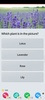 QuizzLand screenshot 12
