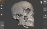 3D Anatomy for the Artist screenshot 2