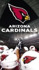 Cardinals screenshot 6