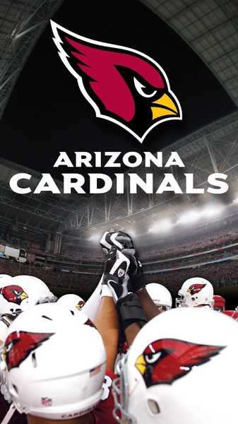 Cardinals - Preview 6