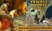 Temple Horse Run 3D screenshot 11