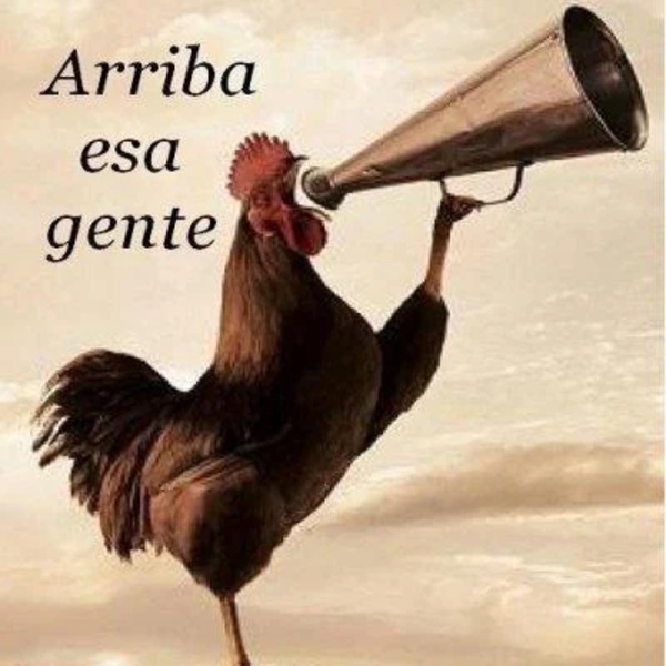 Frases de Animo y Positivas - Preview 1