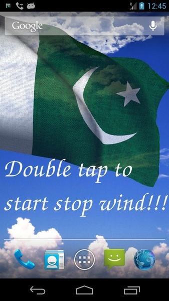 Pakistan Flag - Preview 10
