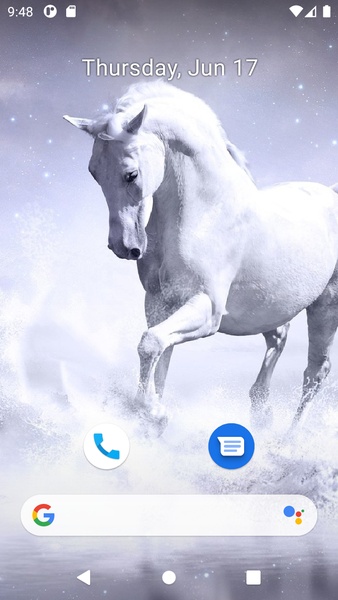 Horse Wallpaper HD - Preview 10