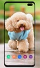 Puppy Wallpaper screenshot 2