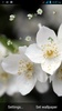 White Flowers Wallpaper Live screenshot 4