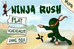Ninja Rush screenshot 2
