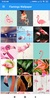 Flamingo Wallpaper: HD images, Free Pics download screenshot 4
