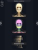 Skeleton Anatomy Pro. screenshot 8