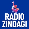 Radio Zindagi: Hindi Radio USA screenshot 2