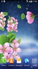 Sakura Live Wallpaper screenshot 4