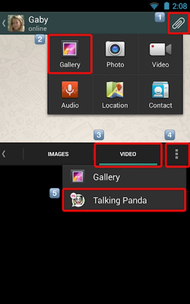 Talking Panda - Preview 2