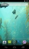 Aquarium HD Live Wallpaper screenshot 4