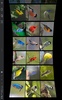 Gallery Wall 3D screenshot 5