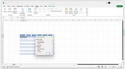 Microsoft Excel screenshot 6