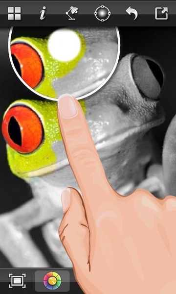 Color Splash FX - Preview 6