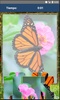 Rompecabezas de Mariposas screenshot 1