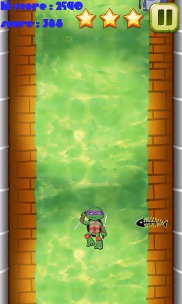 Turtle Race - Preview 2