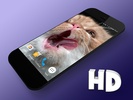 Cat Shake HD Live Wallpaper screenshot 13