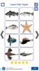 Fish Types screenshot 5