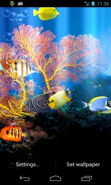 Fish Aquarium - Preview 1
