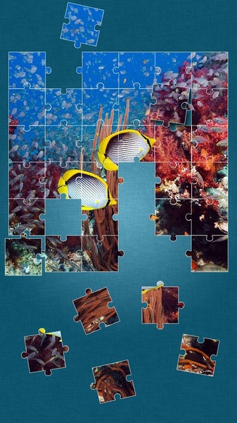 Under the Sea Jigsaw Puzzles - Preview 2