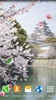 Sakura Garden Live Wallpaper screenshot 5
