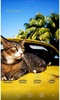 Cat on a Car screenshot 4