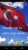 Turkey Flag screenshot 9