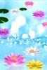 Water Lily Bell-Trial screenshot 2