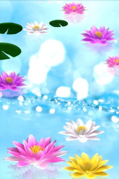 Water Lily Bell-Trial - Preview 2
