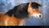 Horses in winter screenshot 3