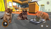 Cat Sim screenshot 1