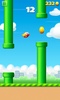 Flying Bird screenshot 10