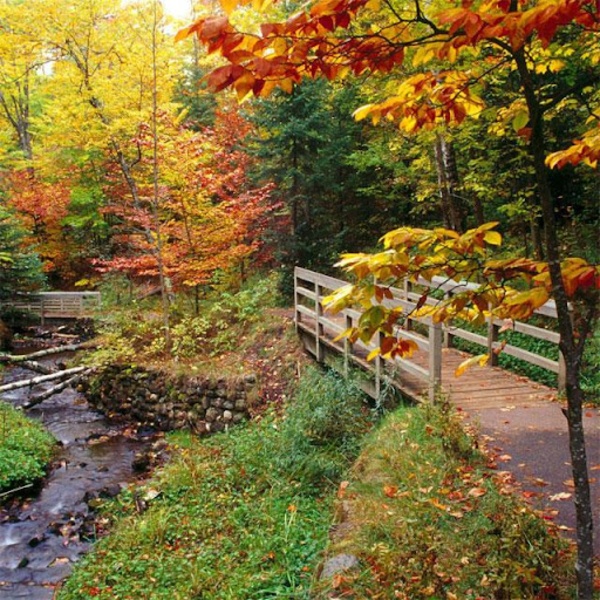Nature Jigsaw Puzzles - Preview 4
