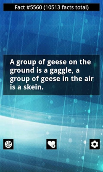 Cool Facts - Preview 14