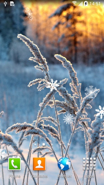 Frozen Flowers Live Wallpaper - Preview 7
