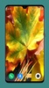 Autumn Wallpaper 4K screenshot 15