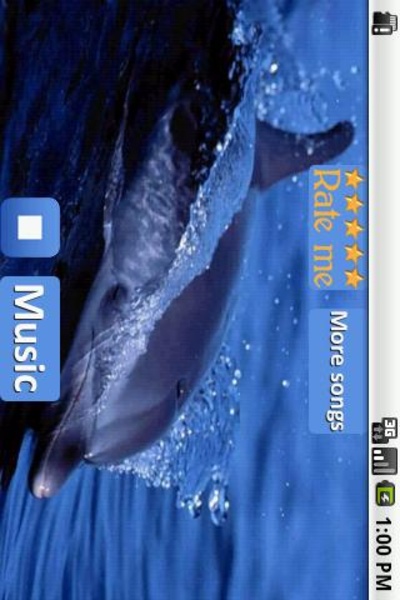 Dolphins - Sound to relax - Preview 4
